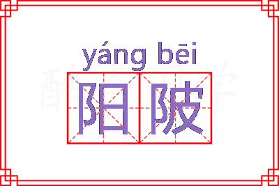 阳陂