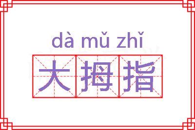 大拇指