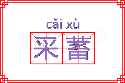 采蓄