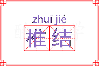 椎结