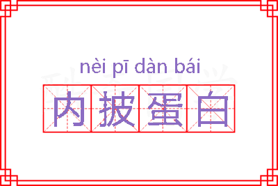 内披蛋白