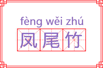 凤尾竹